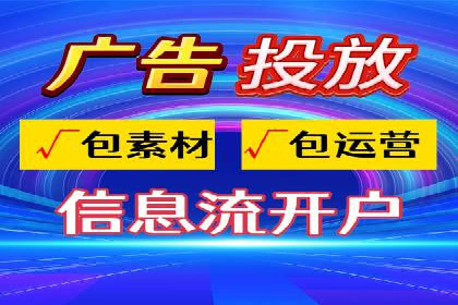 某知名品牌SEM运营策略及效果评估